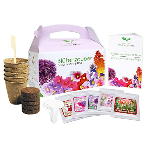 Magic of Nature Geschenk Anzuchtset - Blütenzauber 5 Kontinente Box - zum Selberzüchten oder verschenken von Magic of Nature