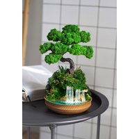 Indoor-Bonsai Mit Konserviertem Moos, Handgefertigter Bonsai-Baum, Wasserfall-Schreibtisch, Glücksbaum, Mini-Aquarium-Bonsai, Firmengeschenke von MagicGardensShop