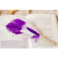 Gans, Strauß, Pelikanfedern Verschmieren Fan_Witchcraft_Shaman_Wiccan_Pagan_Altar Werkzeuge von MagicSolarWind