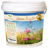 Bienen Paradies Blumensamen Mischung 2, 5 Kg - Blühfreudige Bienenweide Für 750 Bis 1.250 M2 von MagicofNatureDE