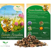 Bienen Paradies Samen - 10G Balkonkasten Mischung Bienenweide Für Den Stadtgarten Geeignet Blumenkasten, Blumenschalen, Blumentöpfe von MagicofNatureDE