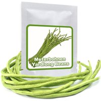 Meterbohnen - 20 Samen Bis Zu 1M Lange Riesenbohnen Yardlong Beans Seeds Für Garten Und Terrasse von MagicofNatureDE