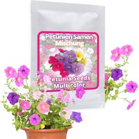 Petunie Samen Ca. 250 Stück - Vielblumige Mischung Petunien Blumen Für Balkon Und Garten von MagicofNatureDE