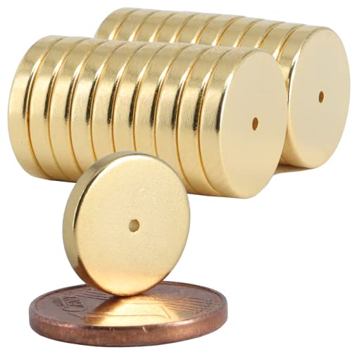 [20 Stück] Neodym Magnet N52 Ringmagnete extra stark Magnetring Magnete Mit 1mm Loch Bohrung Runder Ring 12mm x 2mm Scheiben Flach Rund Gold von Magnet-Kauf