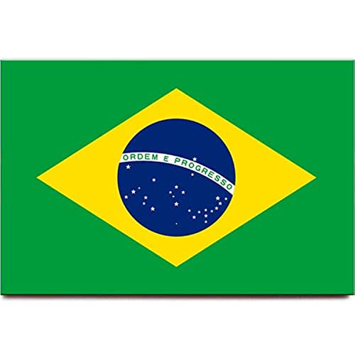 Kühlschrankmagnet mit Brasilien-Flagge, Sao Paulo Rio de Janeiro Reise-Souvenir von Magnet Sv