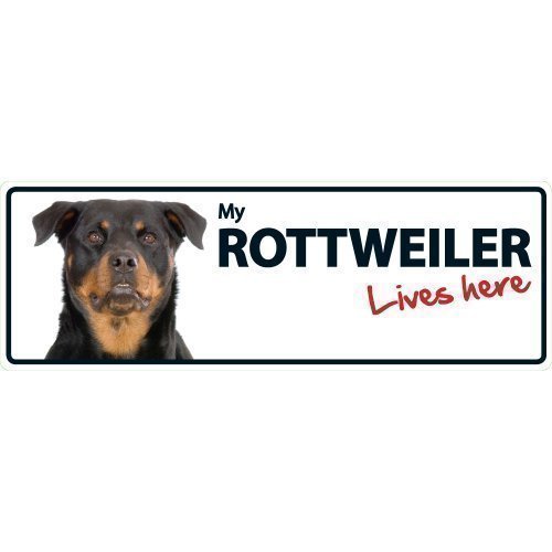 Magnet & Steel Rottweiler Lives Here Landschafts-Tierschild von Magnet & Steel