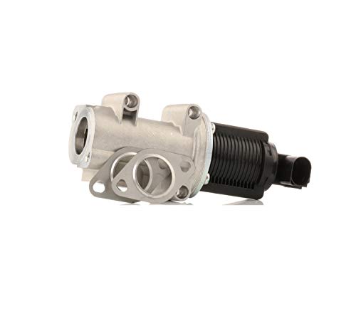 Magneti Marelli 571822112004 - AGR-Ventil von Magneti Marelli