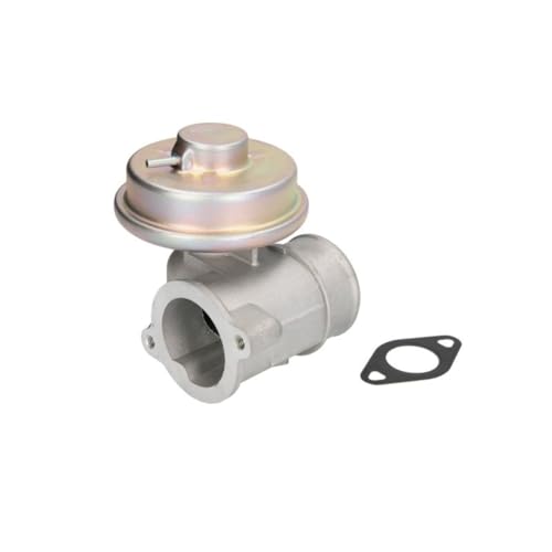 Magneti Marelli 571822112111 - AGR-Ventil von Magneti Marelli