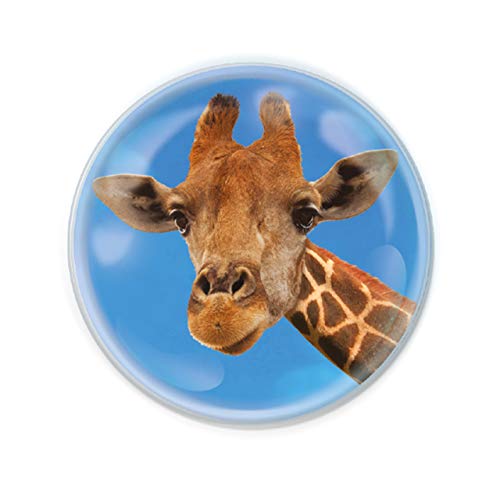 Deluxebase Magnidome - Giraffe Safari Kristallglas Kühlschrank Magnet für Kinder. Hervorragende gewölbte Magnete für Wohndekoration und Zubehör von Deluxebase
