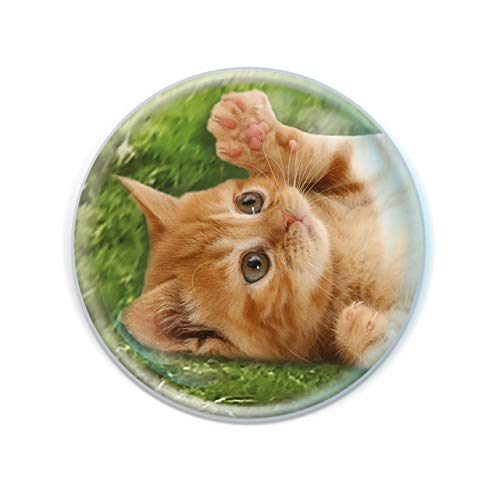 Deluxebase Magnidome - Kätzchen Süße Katze Kristallglas Kühlschrank Magnet für Kinder. Hervorragende gewölbte Magnete für Wohndekoration und Zubehör von Deluxebase