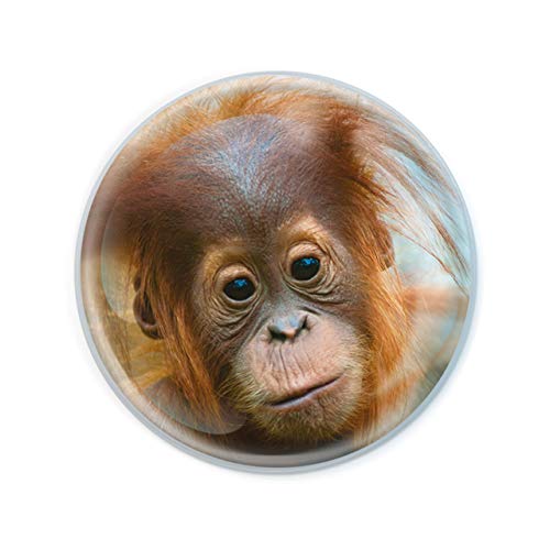 Deluxebase Magnidome - Orang-Utan AFFE Kristallglas Kühlschrank Magnet für Kinder. Hervorragende gewölbte Magnete für Wohndekoration und Zubehör von Deluxebase