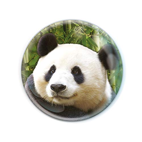 Deluxebase Magnidome - Panda Panda Kristallglas Kühlschrank Magnet für Kinder. Hervorragende gewölbte Magnete für Wohndekoration und Zubehör von Deluxebase