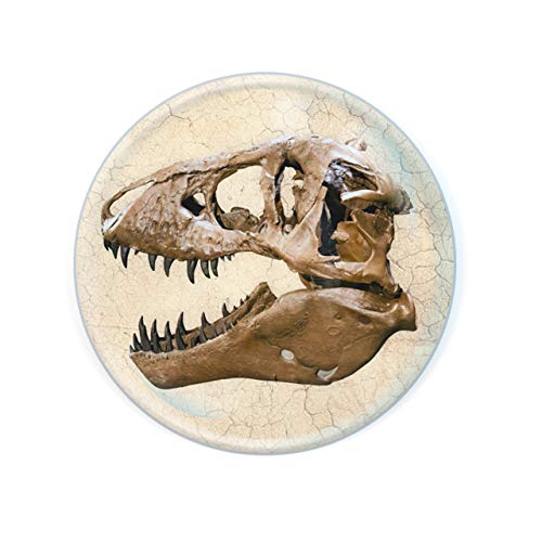 Deluxebase Magnidome - T-Rex Schädel Dinosaurier Kristallglas Kühlschrank Magnet für Kinder. Hervorragende gewölbte Magnete für Wohndekoration und Zubehör von Deluxebase