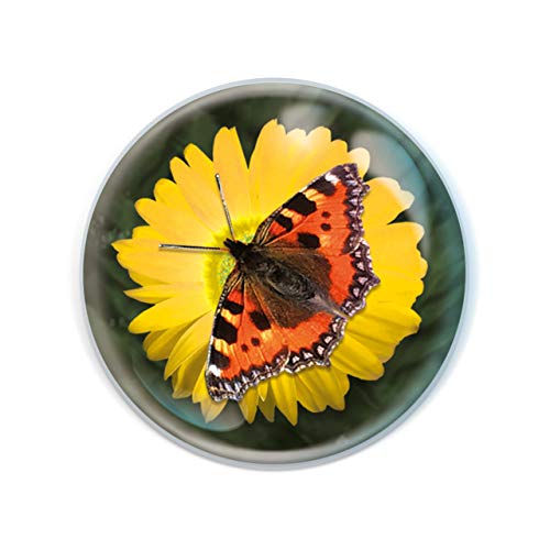 Magnidome - Deluxebase Schmetterling Insektenmagnet für Kühlschrank aus Kristallglas für Kinder Wunderschöne magnetische Kuppeln für die Dekoration des Hauses von Deluxebase