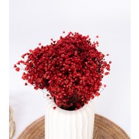 Getrocknete Glixia in Rot, Bund 80G von MahinaMakramee
