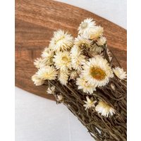 Getrocknete Strohblume in Weiß, Bund 150G von MahinaMakramee
