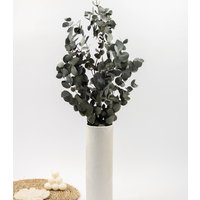 Getrockneter Eukalyptus "Cinerea", Bund 150G von MahinaMakramee