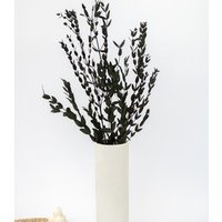 Getrockneter Eukalyptus "Parvifolia", Bund 150G von MahinaMakramee