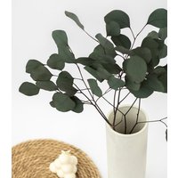 Getrockneter Eukalyptus "Populus", Bund 150G von MahinaMakramee