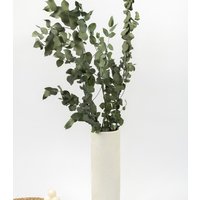 Getrockneter Eukalyptus "stuartiana", Bund 150G von MahinaMakramee