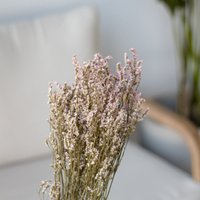 Getrockneter Limonium Diamond in Rose 50G, 60cm von MahinaMakramee