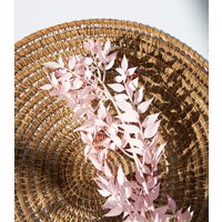 Getrockneter Ruscus in Light Pink, 5 Stiele von MahinaMakramee