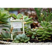 Fairy Garden Accessories Kleines Eichhörnchen-Führerboard, Miniatur-Gartenarbeit, Terrarium-Versorgung von MahsaStudio