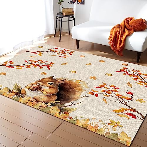 Teppich Schlafzimmer Herbstblätter Outdoor Teppich Balkon Küche Wohnzimmer Flur Teppich Ahorn-Eichhörnchen-Pinienkerne Bettvorleger rutschfest Waschbare Moderner Teppiche 80X160Cm von MaiShaRi