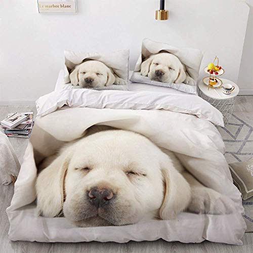 Hund Bettwäsche 220x240cm 3 Teilig Weißer Labrador Retriever Bettbezug Set Atmungsaktiv 3D Motiv Microfaser Luxus Modern Bettdeckenbezug Mit Reißverschluss und 2 Kissenbezug 80x80cm von MaiShaRui