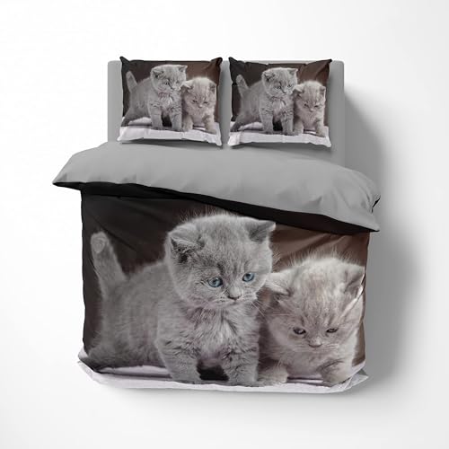 Kinderbettwäsche 135x200cm Jungen Katze Bettbezug Set 3 Teilig Niedliche Graue Tierkatze Microfaser Einzelbett WendeBettwäsche mit Reißverschluss und 2 Kissenbezug 80x80cm von MaiShaRui