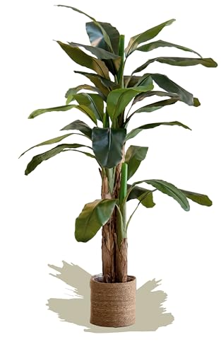 Maia Shop Künstliche Bananenpflanze 210 cm für die Dekoration von Haus und Büro, künstlicher dekorativer Hyperrealistischer Baum mit natürlichem Stamm von Maia Shop