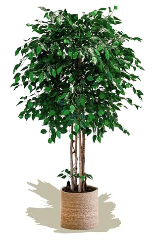 Maia Shop Künstlicher Feigenbaum mit Einer Höhe von 190 cm zur Dekoration von Haus und Büro, Großer Baum, Große Hyperrealistische Kunstpflanze mit Natürlichem Stamm von Maia Shop
