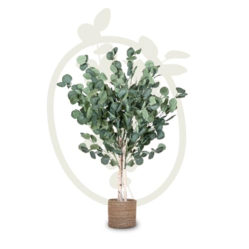 Maia Shop Künstliche Eukalyptus-Pflanze, 105 cm, zur Dekoration von Zuhause und Büro, Baum, hyperrealistische dekorative künstliche Pflanze mit natürlichem Stamm von Maia Shop