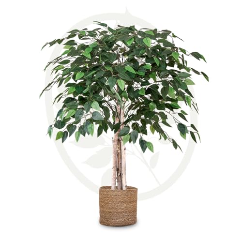 Maia Shop Künstlicher Ficus-Baum 105 cm zur Dekoration von Zuhause und Büro, Baum, Hyperrealistische Dekorative Künstliche Pflanze mit Natürlichem Stamm von Maia Shop