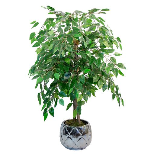 Maia Shop Ficusbaum Kunstpflanze Ficus Dekobaum Realistischen Blättern 105cm  B-Ware von Maia Shop