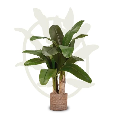 Maia Shop Künstliche Bananenpflanze 120 cm für die Dekoration von Haus und Büro, künstlicher dekorativer Hyperrealistischer Baum mit natürlichem Stamm. von Maia Shop