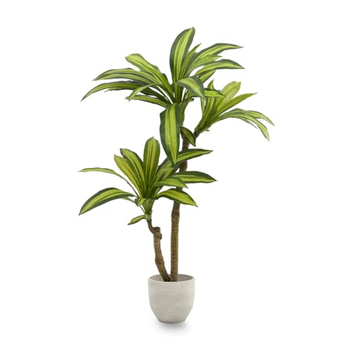 Maia Shop - Künstliche Dracaena 105 cm | Hyperrealistische dekorative Pflanze | Tropischer Baum zur Dekoration von Haus und Büro | Künstliche Pflanze mit Topf für Innen- und überdachte Außenbereiche Maia Shop - Künstliche Dracaena 105 cm | Hyperrealistische dekorative Pflanze | Tropischer Baum zur Dekoration von Haus und Büro | Künstliche Pflanze mit Topf für Innen- und überdachte Außenbereiche von Maia Shop