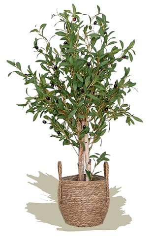 Maia Shop künstliche Olive Baum 105 cm für die Dekoration von Haus und Büro, künstlicher dekorativer Hyperrealistischer Baum mit natürlichem Stamm von Maia Shop
