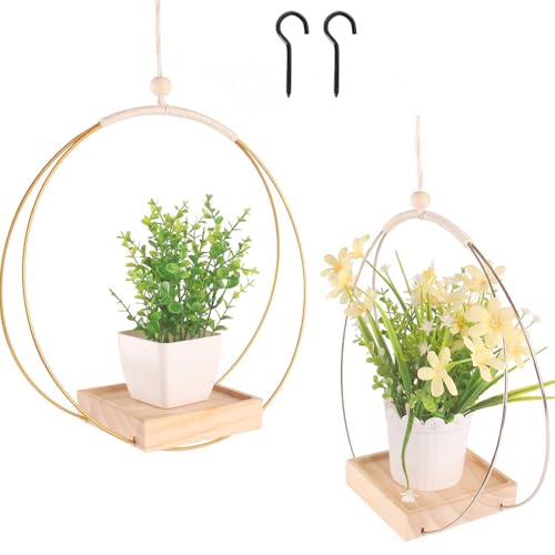 Mailfull Blumenampel Hängend Innen 2 Stück Metallring Hängeampeln mit Holzsockel Hängetopf für Pflanzen für Zimmerpflanzen Sukkulenten Luftpflanzen Kaktus Mailfull Blumenampel Hängend Innen 2 Stück Metallring Hängeampeln mit Holzsockel Hängetopf für Pflanzen für Zimmerpflanzen Sukkulenten Luftpflanzen Kaktus von Mailfull