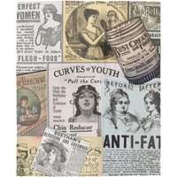 Victorian Beauty Velveteen Decke Und Wildleder Kissen, 19. Jahrhundert Werbung, Unverschämte Schönheit Standards in Der Geschichte von MaineWoodsGifts
