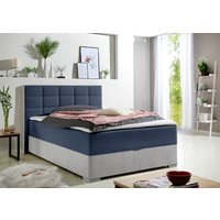 Maintal Boxspringbett von Maintal