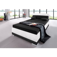 Maintal Polsterbett "wahlweise mit Matratze und praktischen Bettkasten," in verschiedenen Größen und Farben erhältlich Maintal Polsterbett "wahlweise mit Matratze und praktischen Bettkasten," in verschiedenen Größen und Farben erhältlich von Maintal