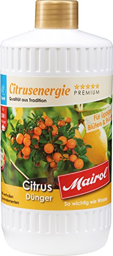 Mairol Citrus-Dünger Citrusenergie Liquid 1000 ml von Mairol