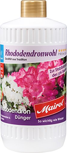 Mairol Rhododendron-Dünger Rhododendronwohl Liquid 1.000 ml von Mairol