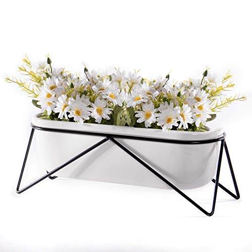 Maison & White Desktop Planter | Alpine Pflanzgefäße drinnen und draußen | Blumentopf, Behälter & Zubehör | Raum- oder Bürodekoration | Kräutertöpfe | M&W (oval) von Maison & White