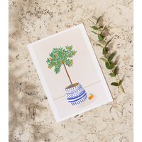 Abbildung Orangenbaum. Abbildung Orangenbaum Im Topf. Postkarte Und Poster Abbildung Orangenbaum. Abbildung Orangenbaum Im Topf. Postkarte Und Poster von MaisonZouzou