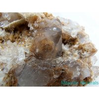 Riesige Sehr Seltene Weiss/Sand Phantom Arkansas Quarz Kristall Cluster von MajesticMineralsUS