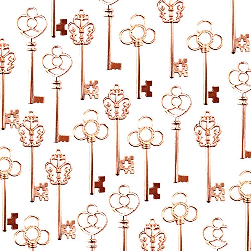 Makhry Gemischte 30 Vintage Schlüssel Hochzeit Schlüssel Santa Schlüssel Weihnachts Schlüssel Alte Schlüssel für Hochzeit/Weihnachts Dekoration(Roségold) von Makhry