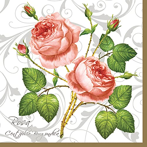 Maki Papierservietten, 3-lagig, Rosen-Design, 33 x 33 cm, 20 Stück, Rosa Centifolia Weiß von Maki