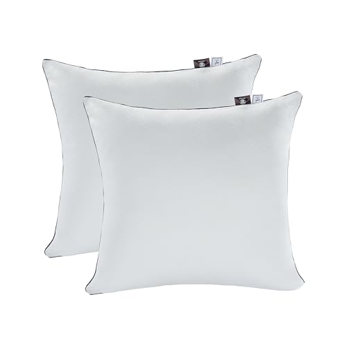 Makimoo Kopfkissen 2er Set (40 x 40 cm), Kissen für Bett und Dekokissen, Polyester Innenkissen Füllkissen for Sofakissen Zierkissen, Mikrofasern, super weich Kissen von Makimoo